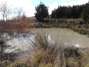 Settling pond